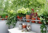Pflanzen und Blumen wachsen auf einem Balkon.
