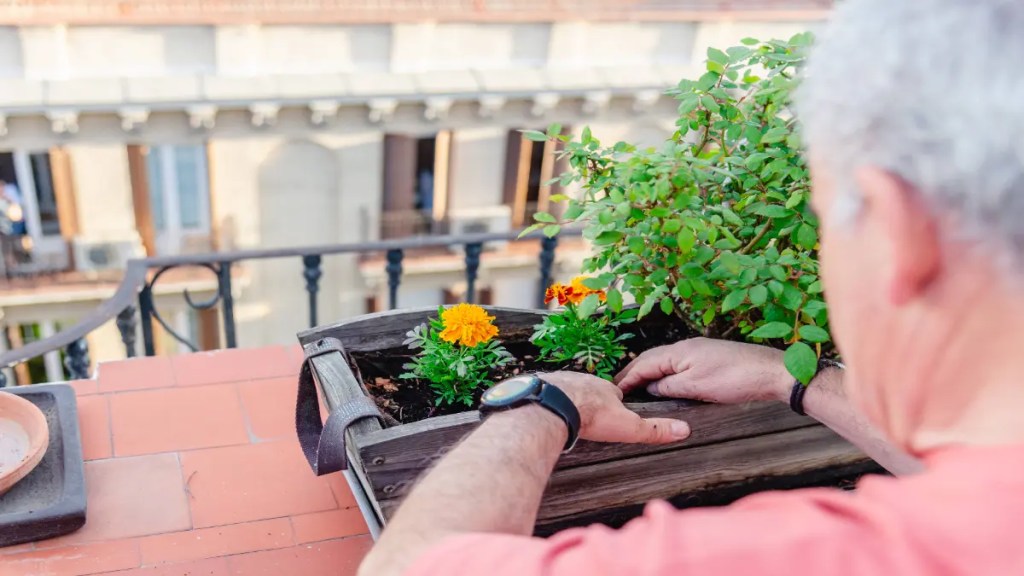 Eine Person arbeitet an einem Blumenkübel.