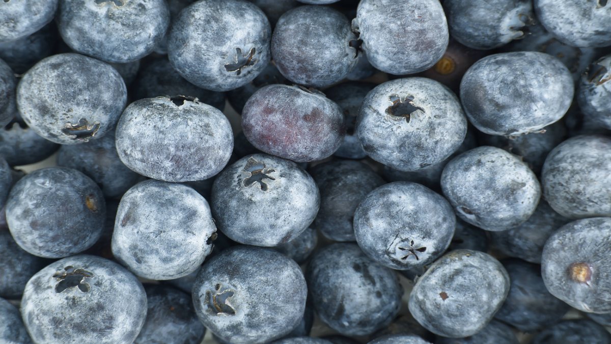 Blaubeeren in Nahaufnahme.