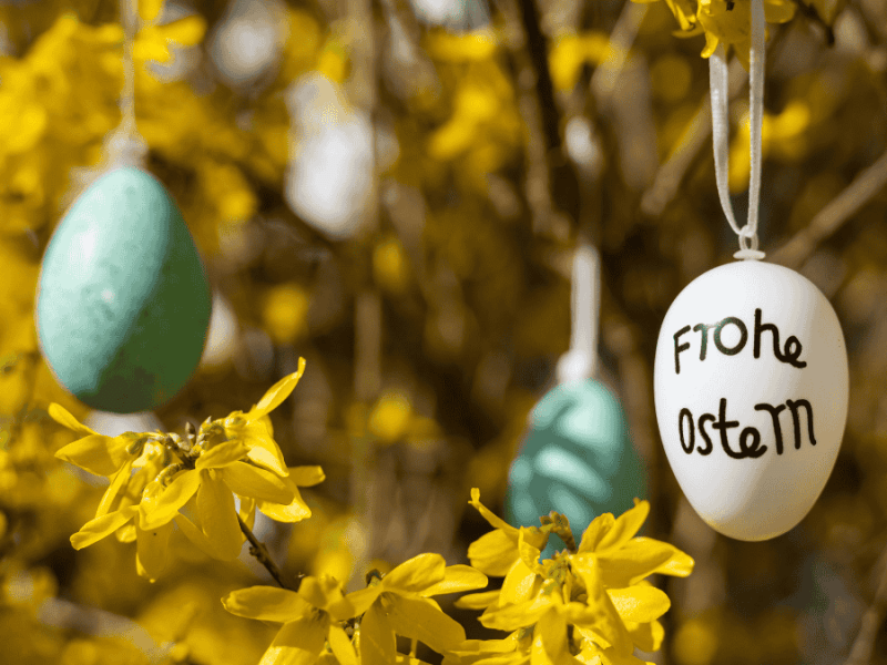 frohe Ostern, Ostereier im Forsythienstrauch