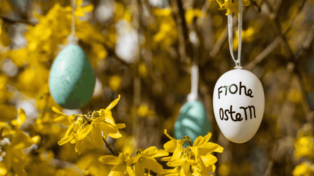 frohe Ostern, Ostereier im Forsythienstrauch