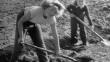 Die heilende Kraft im Garten