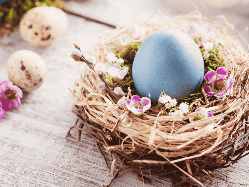 Osternest basteln, Nest mit Ei