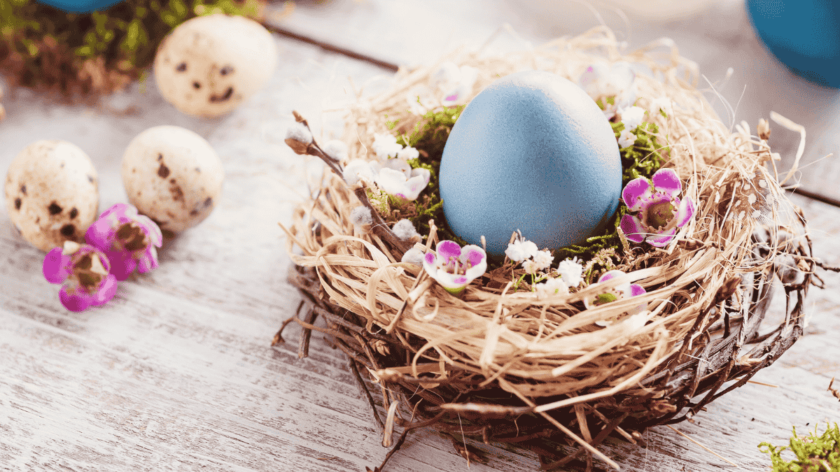 Osternest basteln, Nest mit Ei