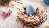 Osternest basteln, Nest mit Ei