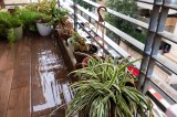 Regenwasser läuft über einen Balkon mit Pflanzenkübeln.
