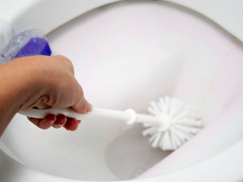 Eine Toilette wird mit einer Toilettenbürste geputzt.