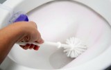 Eine Toilette wird mit einer Toilettenbürste geputzt.
