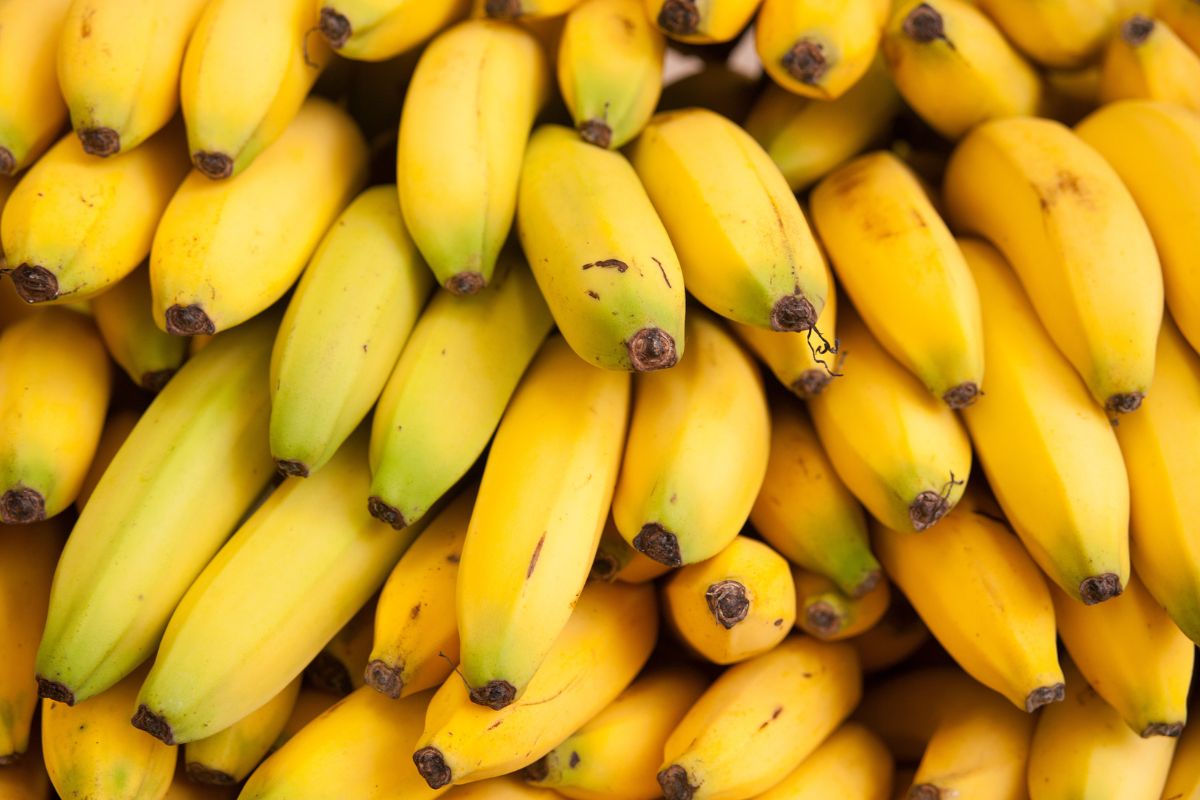 Ein Haufen Bananen