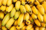 Ein Haufen Bananen