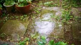 Regen in einem Garten.