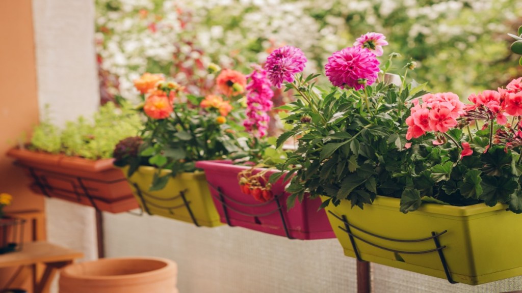 Verschiedene bunte Blumen auf einem Balkon.