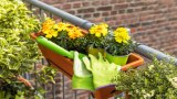 Ein Balkon mit gelben Blumen und Arbeitshandschuhen.