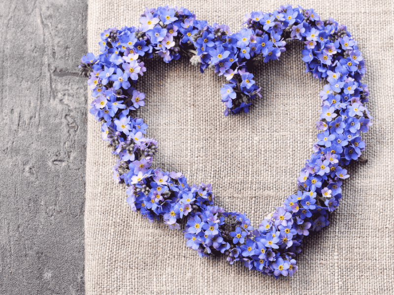 Blumenkranz in Herzform aus Vergissmeinnicht zum Muttertag