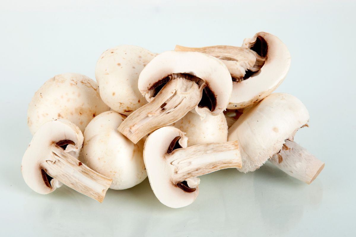 Ein Haufen Champignons.