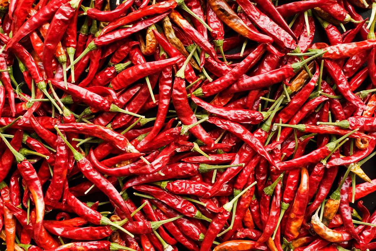 Rote getrocknete Chilis.