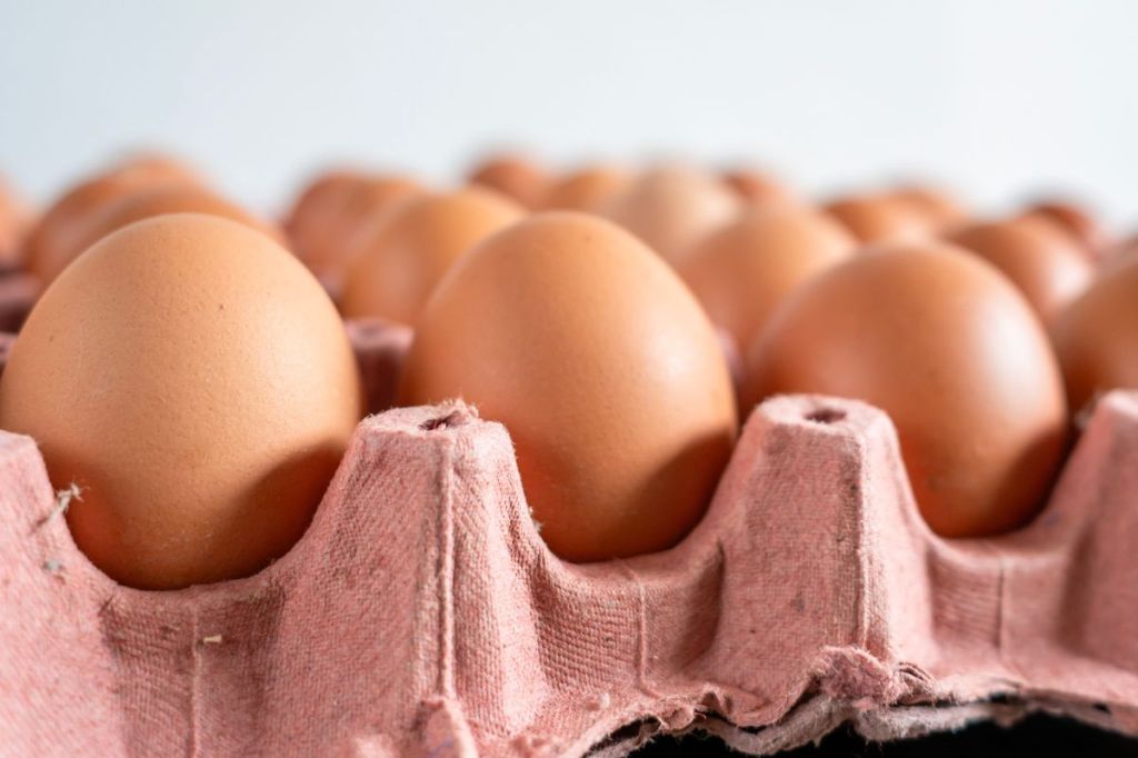 Eier lagern im Kühlschrank? So halten sie sich am längsten