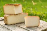 Drei große Stücke Käse stehen auf einem Gartentisch im Freien