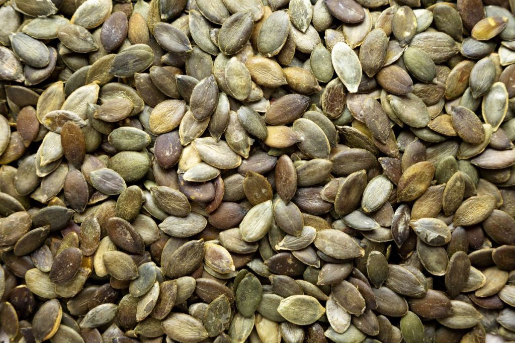 Kürbiskerne trocknen: So geht es im Backofen