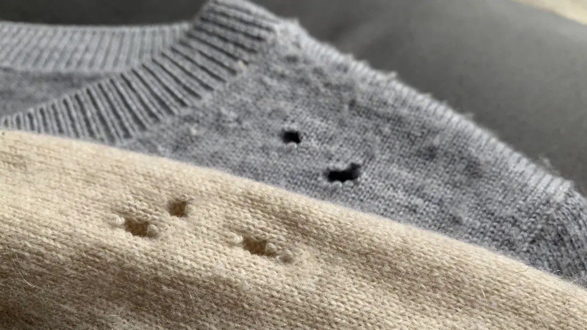 Kleine Löcher in der Kleidung: Dieses Hausmittel soll helfen.