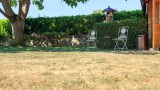 ein vertrockneter Rasen im Sommer