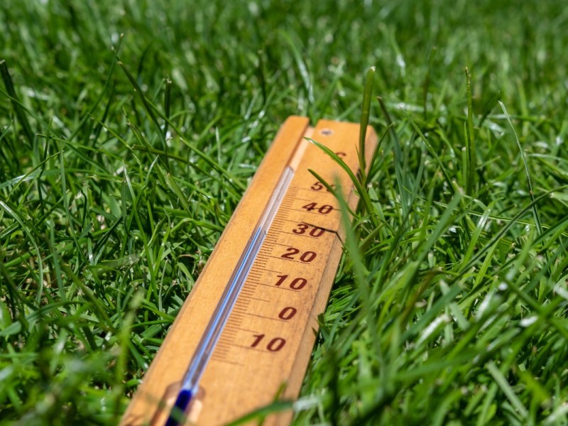 Ein Thermometer liegt in einem grünen Rasen.