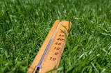 Ein Thermometer liegt in einem grünen Rasen.