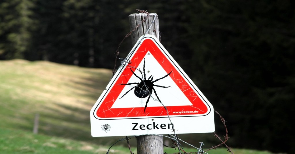 Ein Schild, das über die Gefahr von Zecken aufklärt.