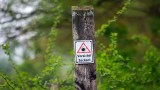 Ein Schild, das über die Gefahr von Zecken aufklärt, an einem Baum.
