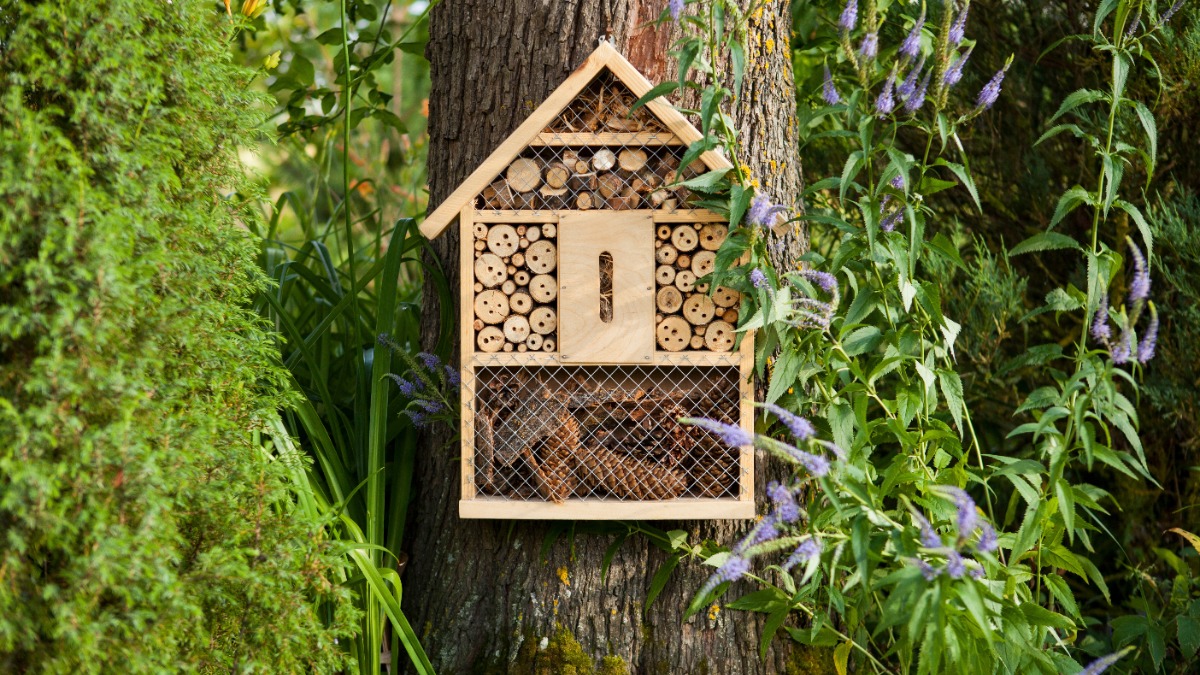 Ein Insektenhaus, das an einem Baum befestigt ist.