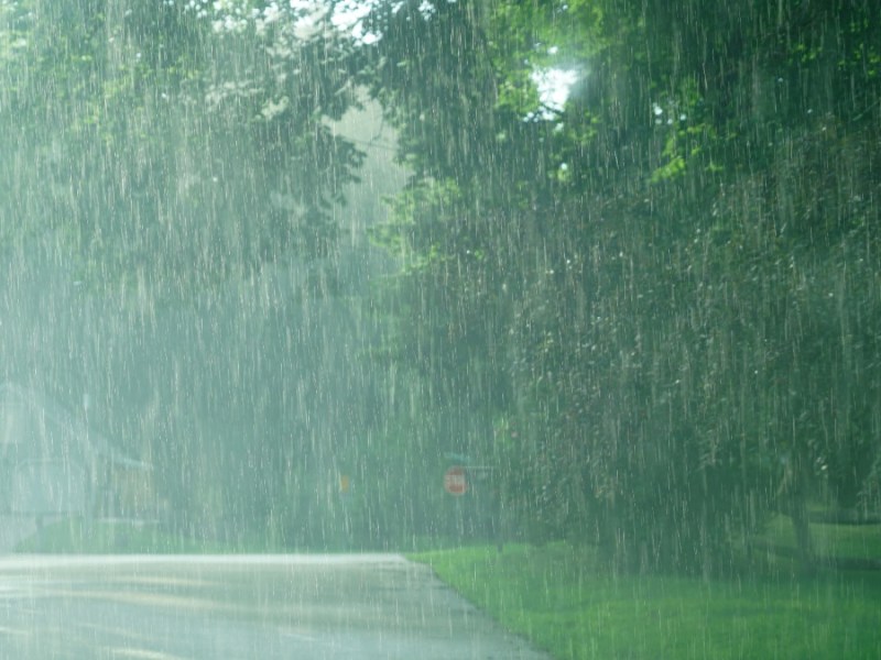 Starker Regen auf einer Straße im Wald.