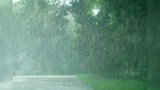 Starker Regen auf einer Straße im Wald.