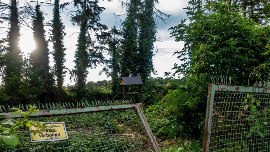 Ein verwilderter Garten hinter einem umgekippten Zaun