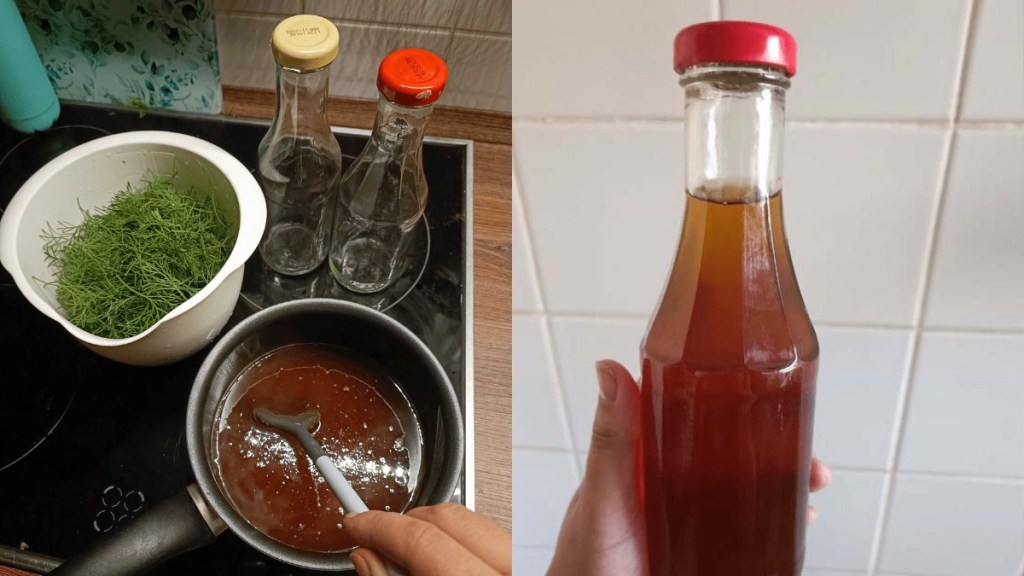 Aus Eberraute, auch Colakraut genannt, wird Sirup gekocht.