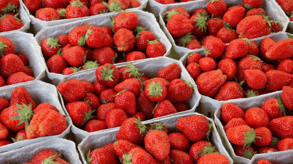 Erdbeeren Preis, Erdbeeren in der Pappschale