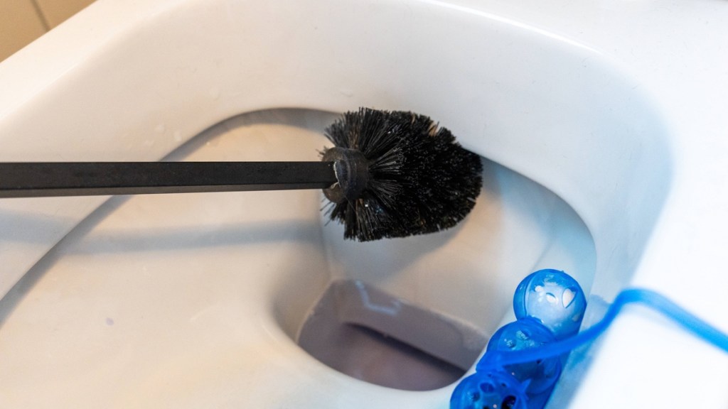 Schwarze Klobürste und blauer WC-Duftstein in einer Toilette.