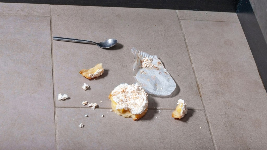 3-Sekunden-Regel: ein Kuchen liegt auf dem Boden