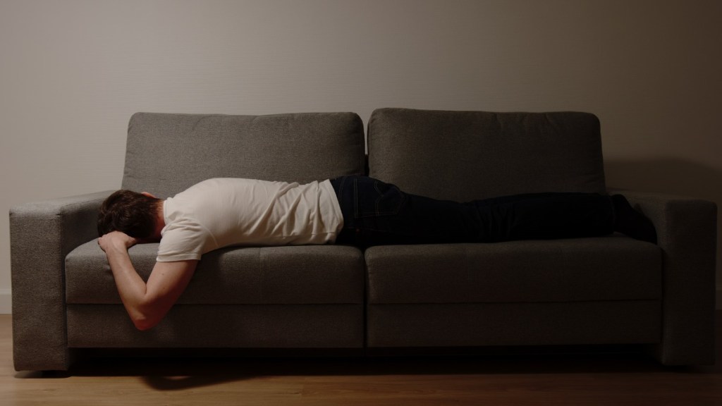 1. Schlafsofa