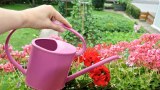 Blumenkasten auf einem Balkon wird gegossen.