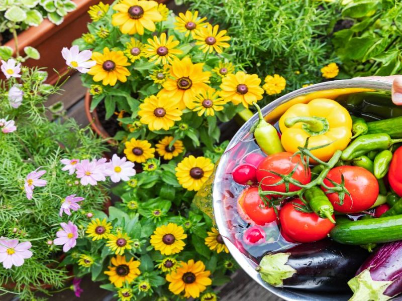 Blumen und verschiedene Gemüsesorten.