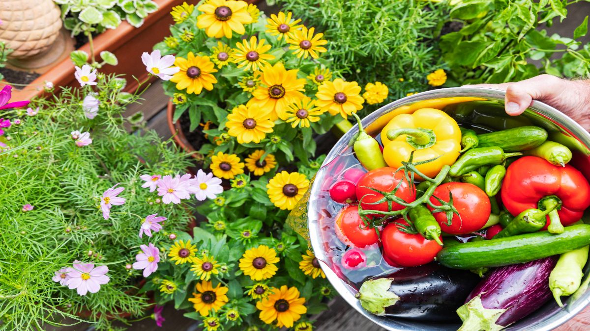 Blumen und verschiedene Gemüsesorten.