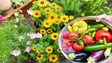 Blumen und verschiedene Gemüsesorten.
