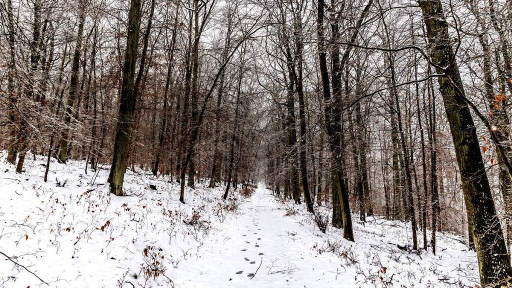 „Wenn’s im Dezember nicht wintert, sommert’s im Juni auch nicht.“