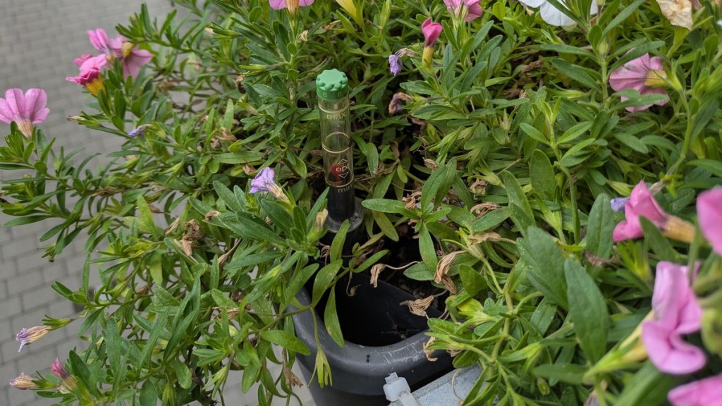 Ein Blumenkasten auf einem Balkon mit einem Wasserspeicher.