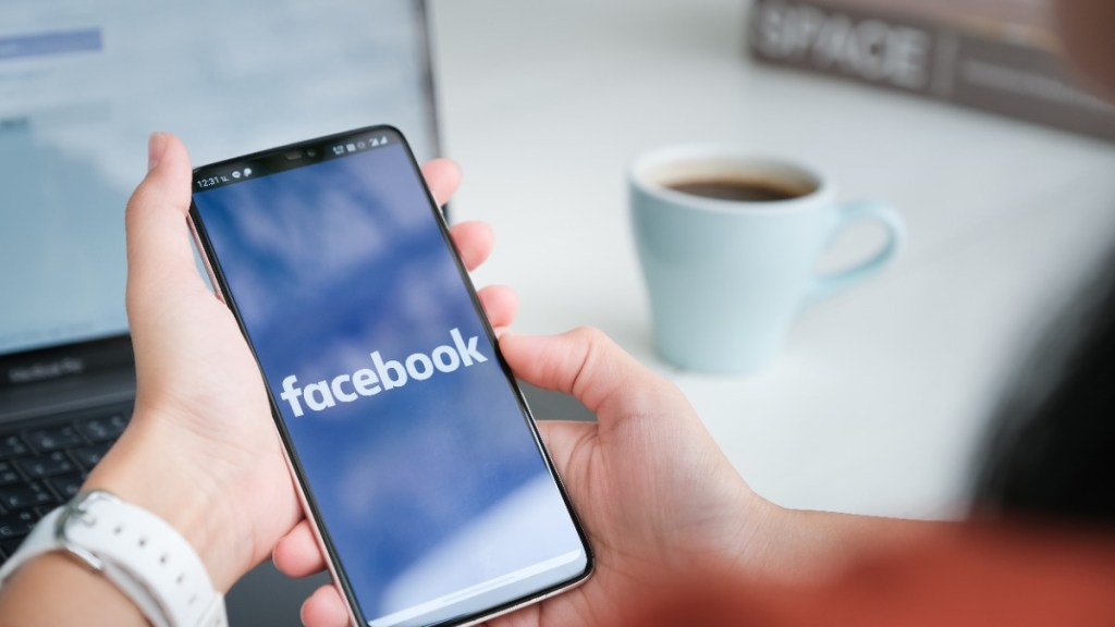 12. Facebook in Island 