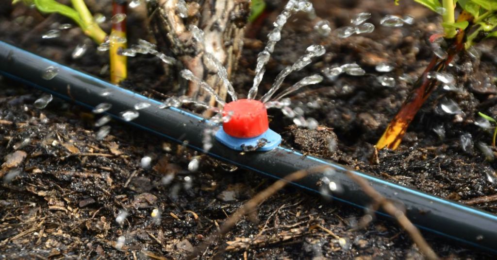 Ein Garten wird automatisch bewässert.