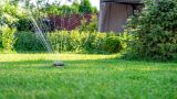 Ein Garten wird automatisch bewässert.
