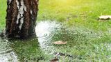 Ein Rasen steht unter Wasser.