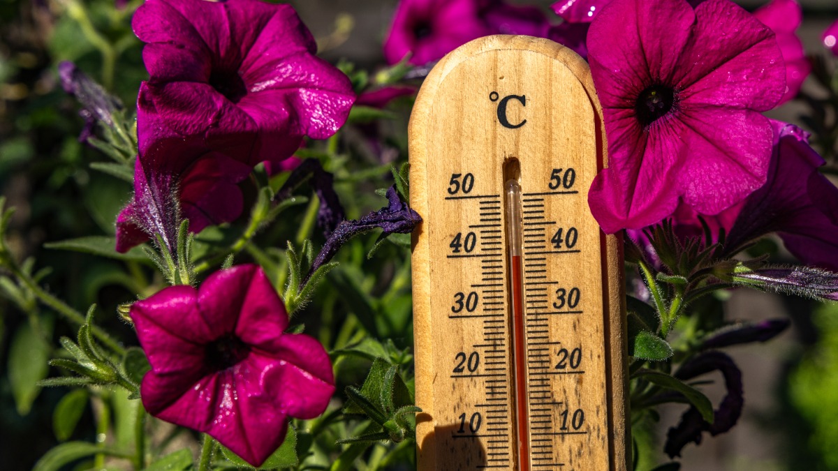 ein Thermometer zeigt knapp 40 Grad