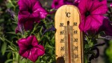 ein Thermometer zeigt knapp 40 Grad